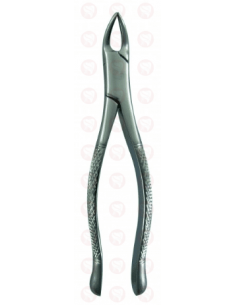 Forceps 150S pediátrico USA DELTA 2