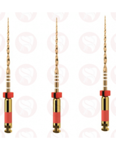 Wave One Gold Primary