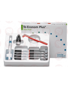 Te-Econom Plus
