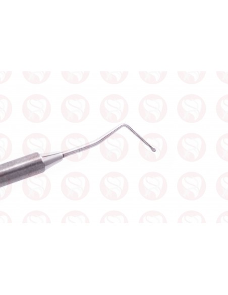 Cucharilla endodontica 33L