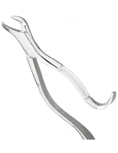 Forceps 24