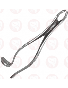 Forceps 24 ECO