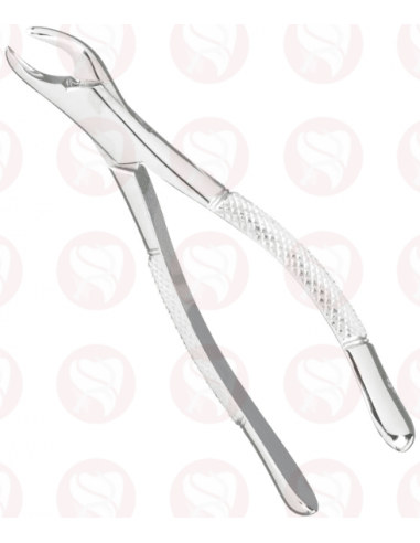 Forceps 151