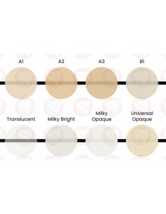 Choice 2 Bisco cemento resinoso 2