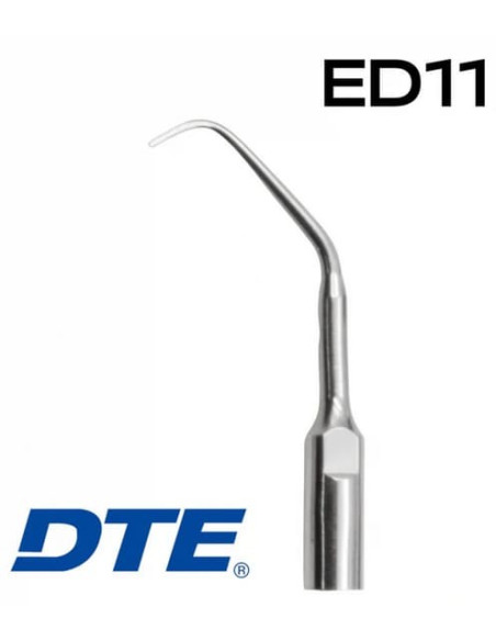 Punta ED11 DTE