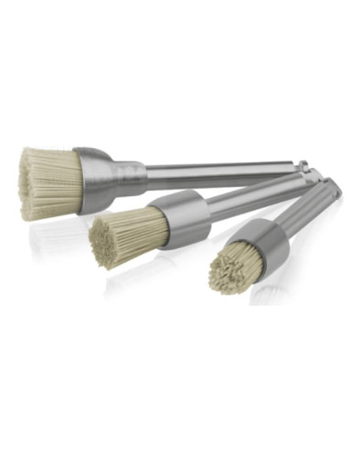 Mini kit cepillos EveBrush RA Eve WT1 WZ1 WS1 para pulido de resinas
