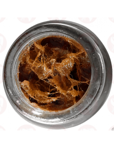 Alveodont PWR 10g pasta fibrosa para alveolitis