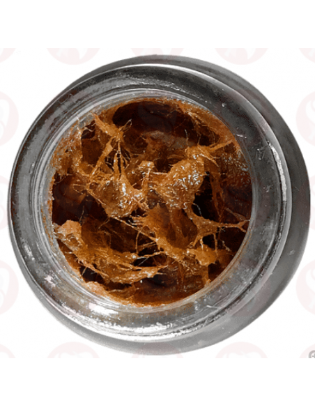 Alveodont PWR 10g pasta fibrosa para alveolitis